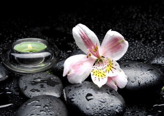 Naklejka na ściany i meble Zen-jak scena z orchidei i świece i kamienie w wodzie