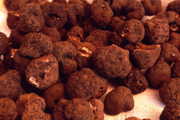 Tartufi