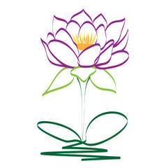 Purple lotus flower vector