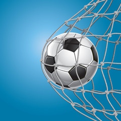 Soccer Goal. A soccer ball in a net. Vector illustration