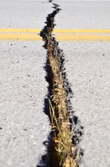Crack in the road