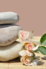 three  roses and stone
