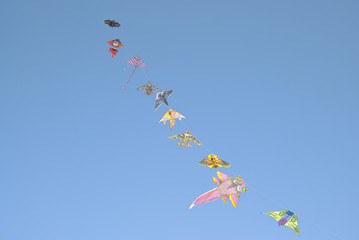 kites