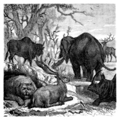 Obraz premium Prehistoric European Animals
