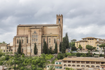 Cattedrale di San Domenico - Siena, Toscana, Italia