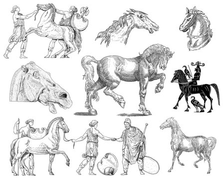 Horses collection
