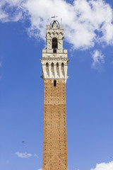 Obraz premium Piazza del Campo e torre del comune - Siena, Toscana, Italia