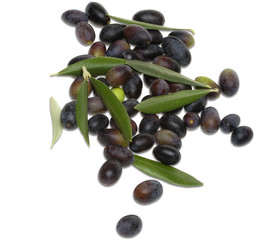 Olive nere Taggiasche con foglie
