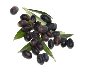 Olive nere Taggiasche con foglie