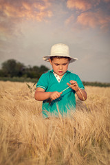 Naklejka na ściany i meble Little boy in wheat field