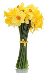 beau bouquet de jonquilles jaunes isolated on white