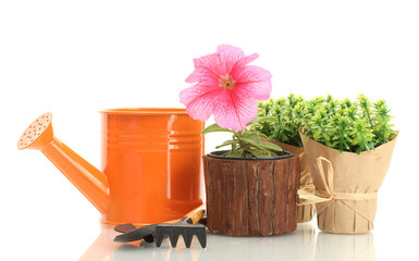 watering can, tools and plants in flowerpot isolated on white