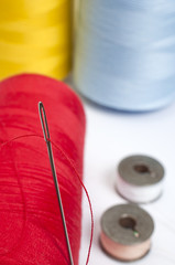 Bobbin and Needle Closeup