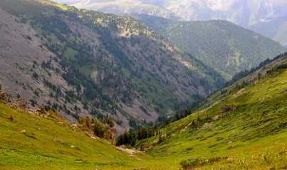 Fototapeta premium Mountains landscape of Altai, Siberia