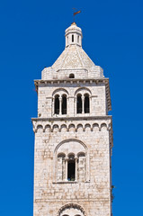 Fototapeta na wymiar Cathedral of Barletta. Puglia. Italy.