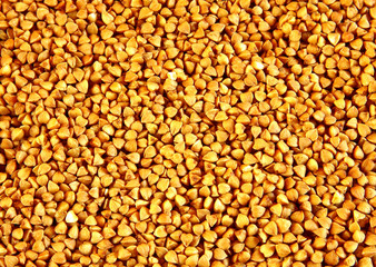 Buckwheat