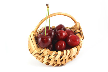 Cherry Berry in the basket