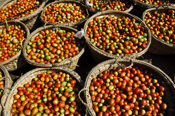 baskets of cherry tomatoes