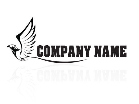 Naklejki Hawk,Falcon,Eagle - vector company logo, sign, icon