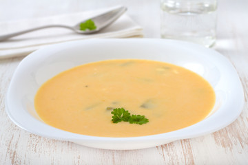 vegetable soup with parsley in white plate