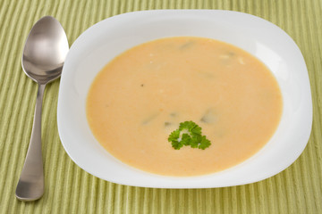 vegetable soup with parsley in white plate
