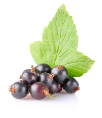 black currant with green leaf isolated on white background