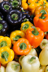 Colorful bell peppers