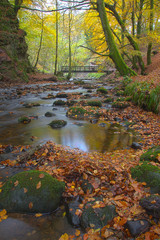 Den of Alyth, Scotland