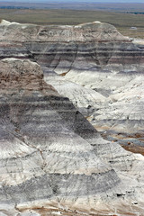 Layered Petrified Forest