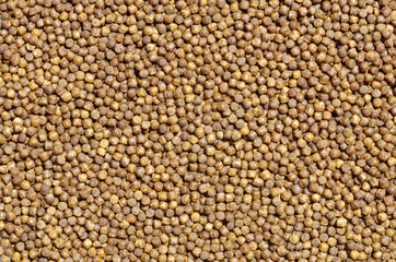 gros plan sur des granulés destinés à l'alimentation animale