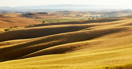 Landscape in Tuscany at sunset in summer