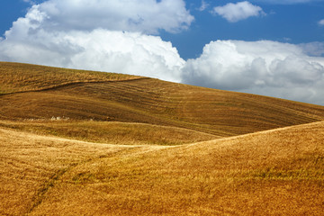 Fototapeta premium Scenic view of typical Tuscany landscape