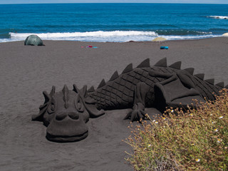 sand dragon on the beach - 42524257