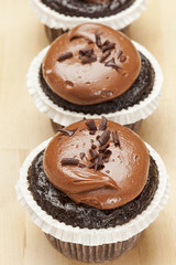 Chocolate Frosted Cupcake