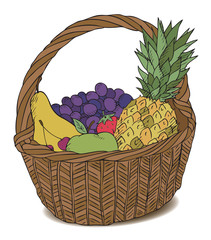 basket with different fruits color vector