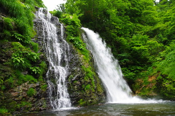 銀山の滝　夏