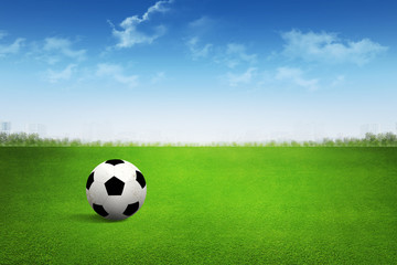 Fototapeta premium Soccer ball on green field