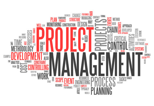 Word Cloud "Project Management"