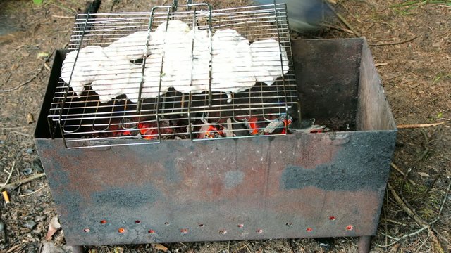 Приготовление шашлыка