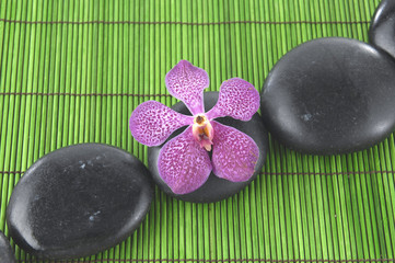 Beautiful pink orchid and zen stone on green stick straw mat