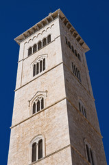 Fototapeta premium Cathedral of Trani. Puglia. Italy.