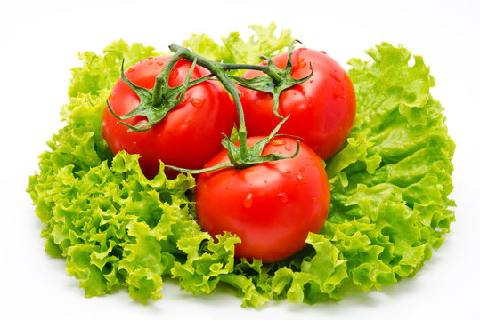 Group of tomato and green salad  isolated on white