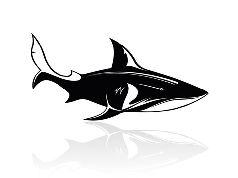 The vector image of a shark, orca, whale, logo, sign