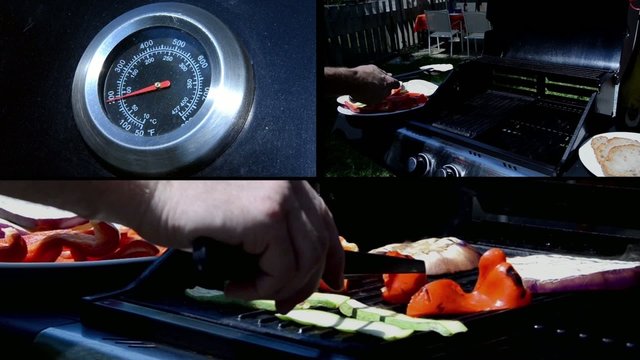 grilled vegetables  picture in picture