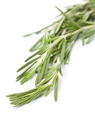 Fototapeta premium Sprig of fresh rosemary
