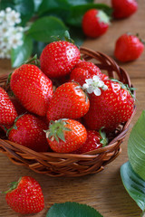 Fresh strawberry
