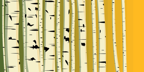 Horizontal illustration of trunks birches.