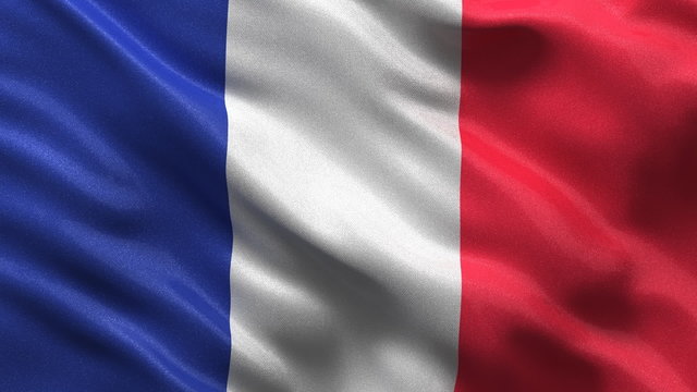 Seamless French Flag waving in the wind