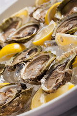 Oysters in a bowl