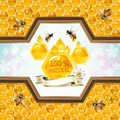 Bees and honeycombs